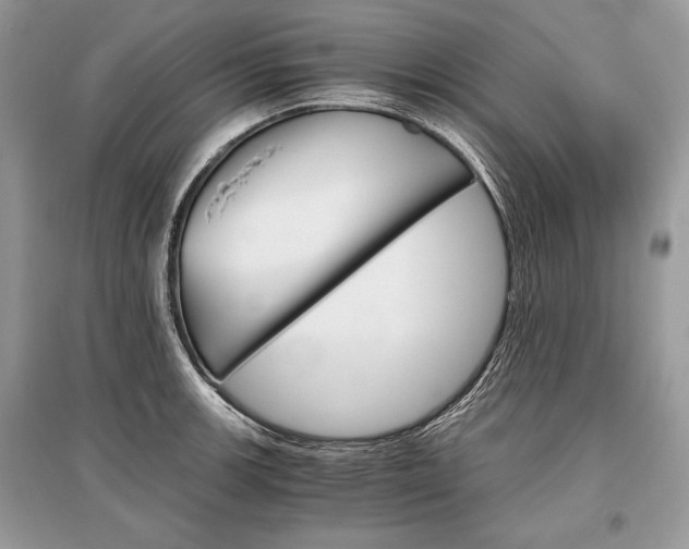 X0000096381139200801240957