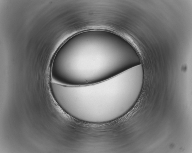 X0000096381140200801240957