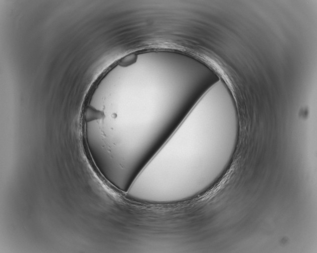X0000096381141200801240957