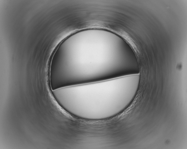 X0000096381142200801240957
