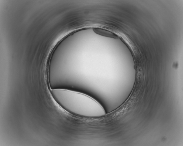 X0000096381143200801240957