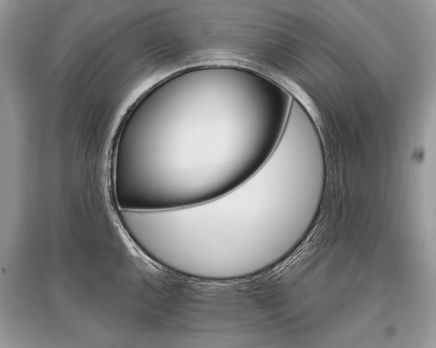 X0000096381144200801240957