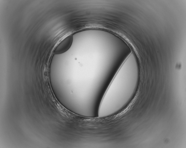 X0000096381145200801240957
