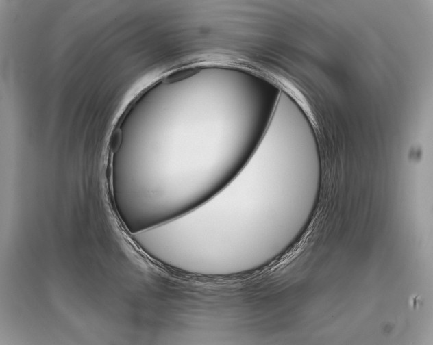 X0000096381146200801240957