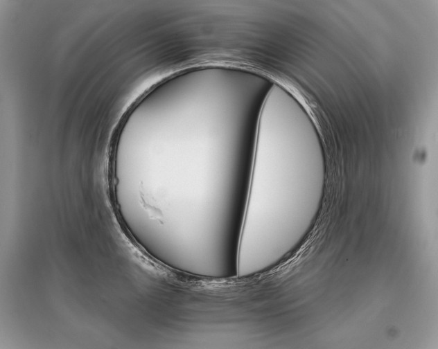X0000096381147200801240957
