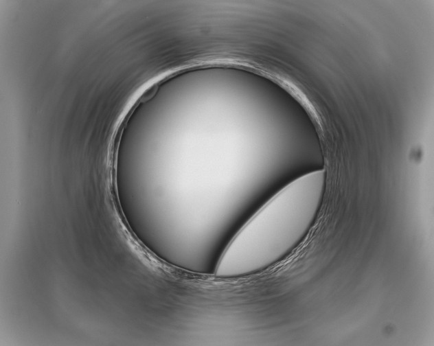 X0000096381148200801240957
