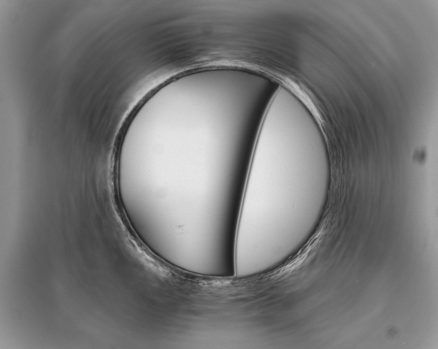 X0000096381149200801240957