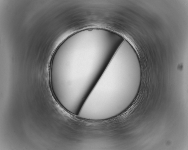 X0000096381151200801240957
