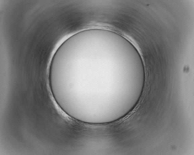 X0000096381152200801240957