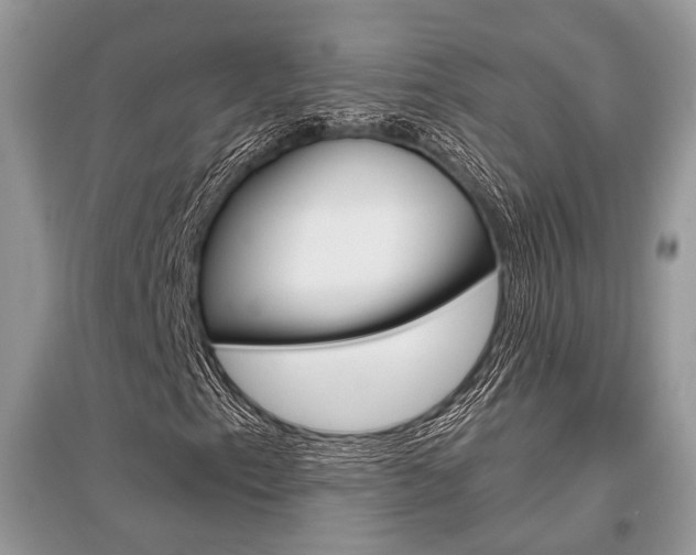 X0000096381153200801240956