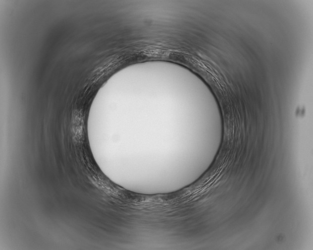 X0000096381154200801240956