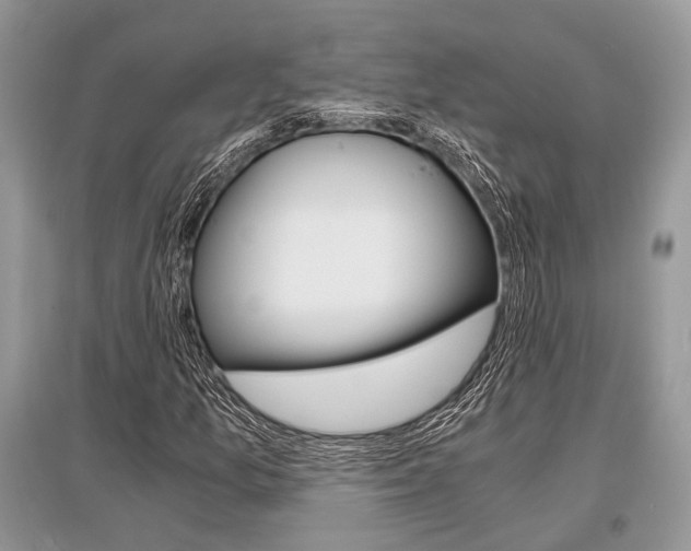 X0000096381157200801240956