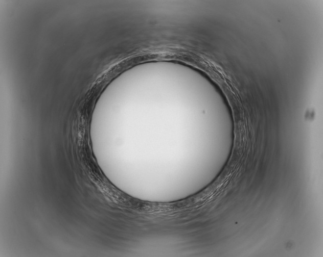 X0000096381158200801240956