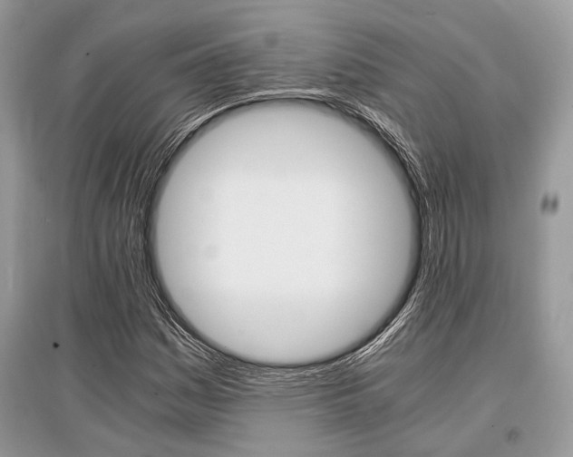 X0000096381161200801240956
