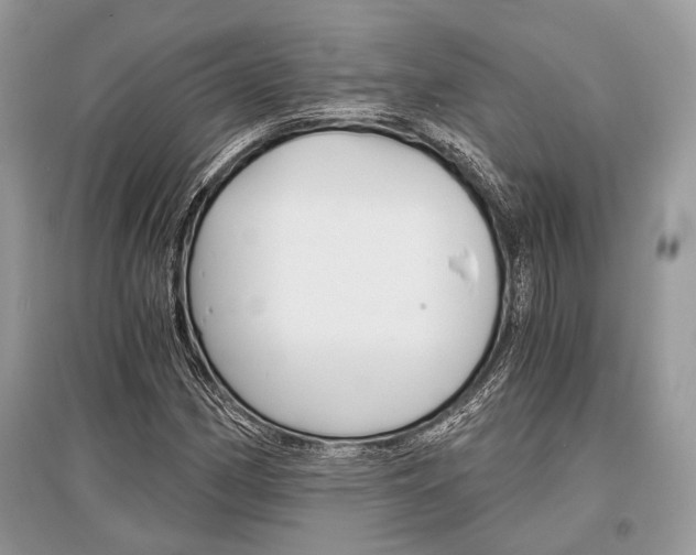 X0000096381162200801240956