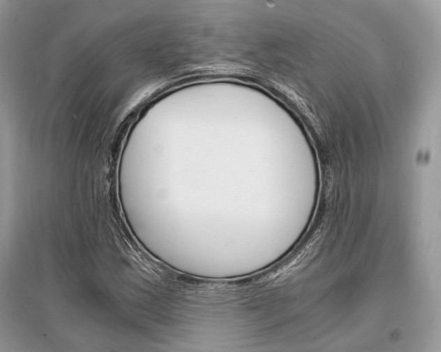 X0000096381163200801240956