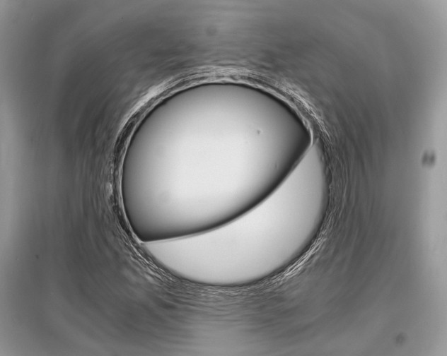 X0000096381165200801240956