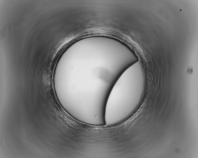X0000096381166200801240956