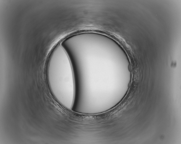X0000096381167200801240956