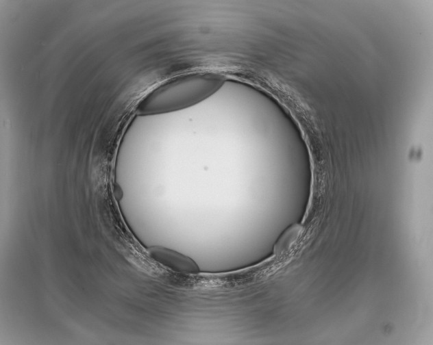 X0000096381169200801240956