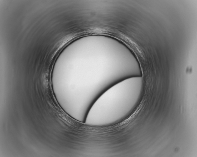 X0000096381170200801240956