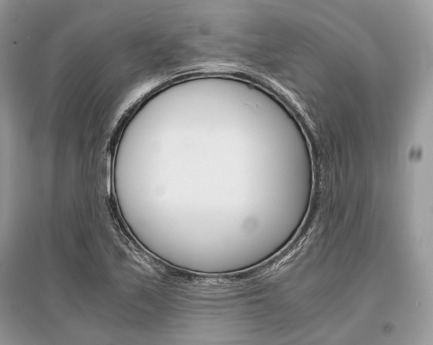 X0000096381171200801240956