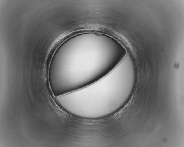 X0000096381172200801240956