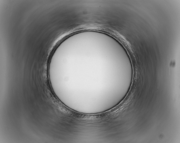 X0000096381174200801240956
