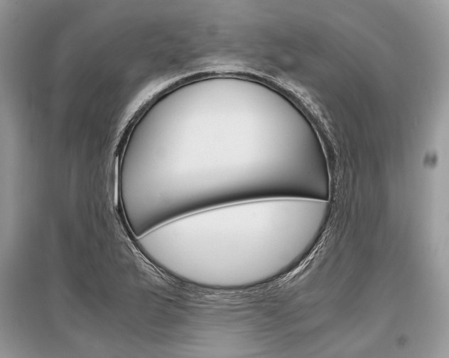 X0000096381175200801240956