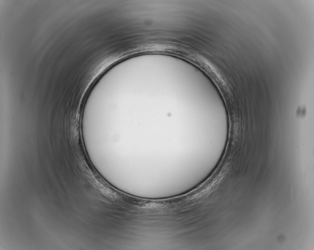 X0000096381178200801240956