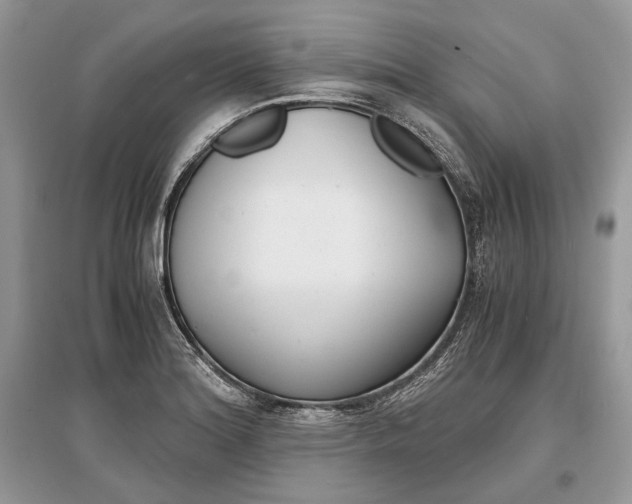 X0000096381180200801240956