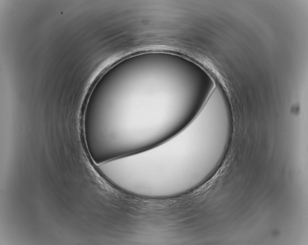 X0000096381181200801240956