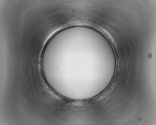 X0000096381182200801240956