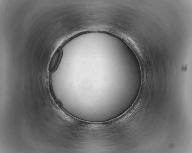 X0000096381184200801240956