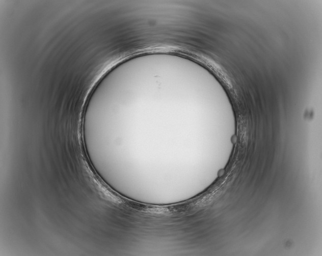 X0000096381186200801240956
