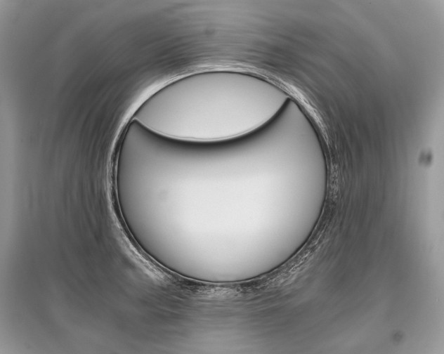 X0000096381187200801240956