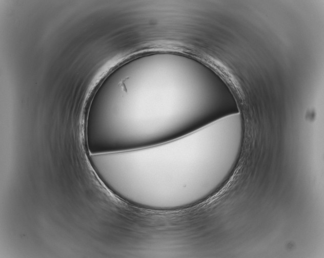 X0000096381188200801240956