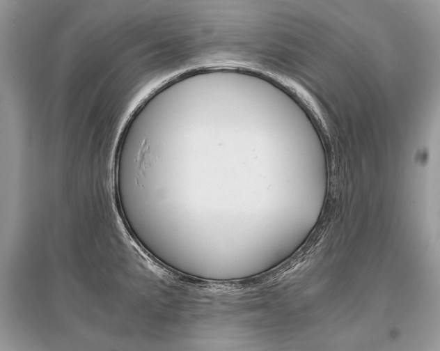 X0000096381191200801240956