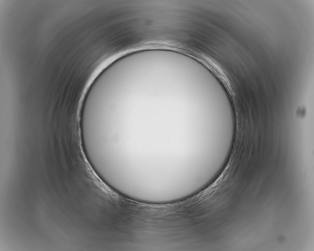 X0000096381192200801240956