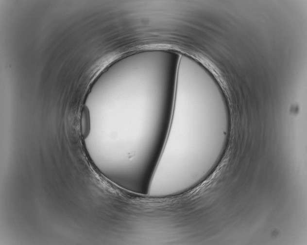 X0000096381193200801240956