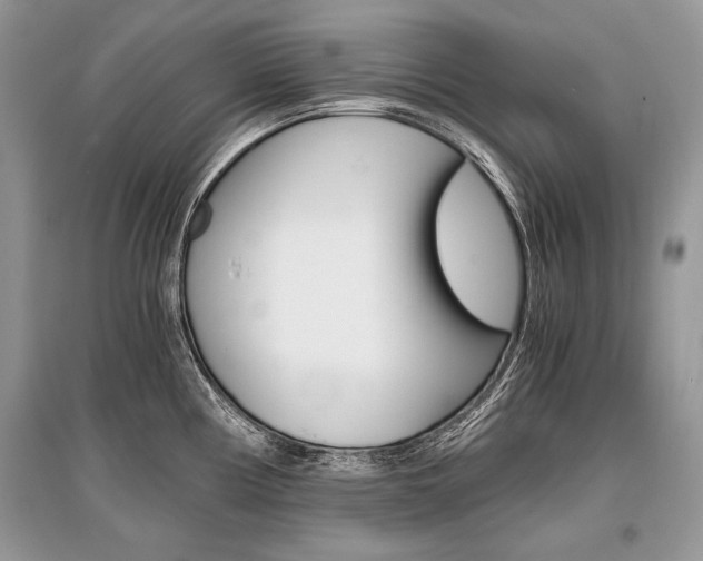 X0000096381194200801240956