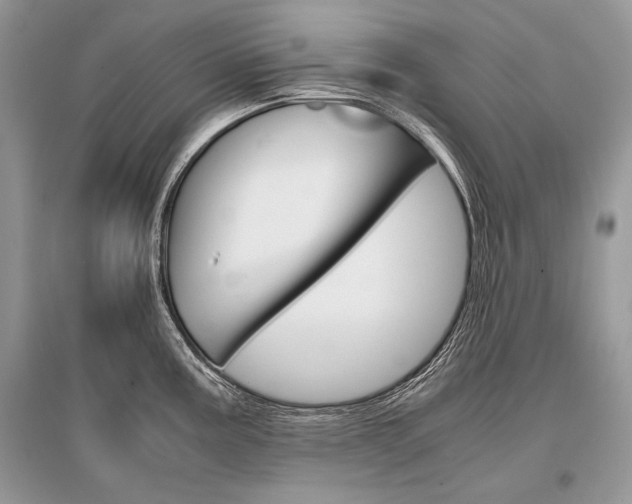 X0000096381195200801240955