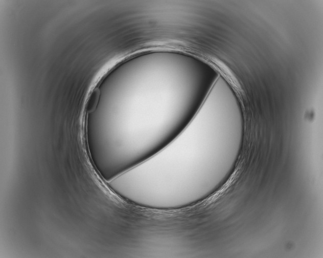 X0000096381196200801240955
