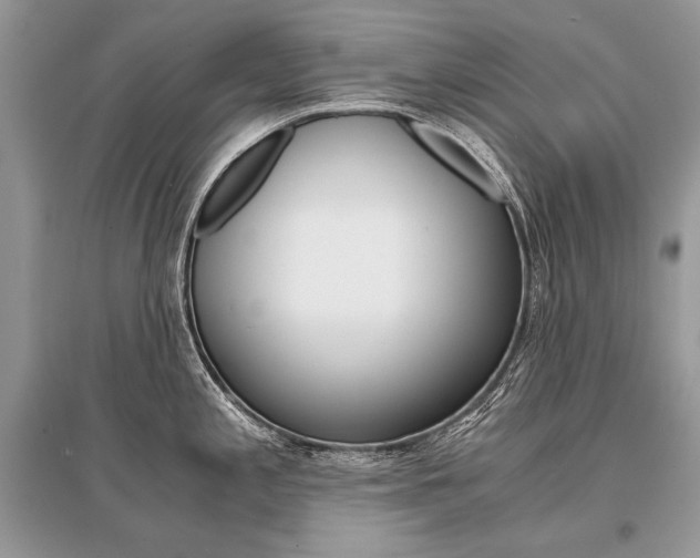 X0000096381197200801240955