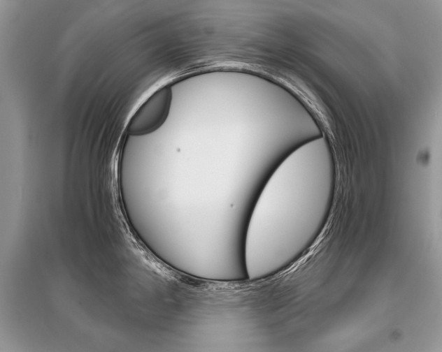X0000096381198200801240955