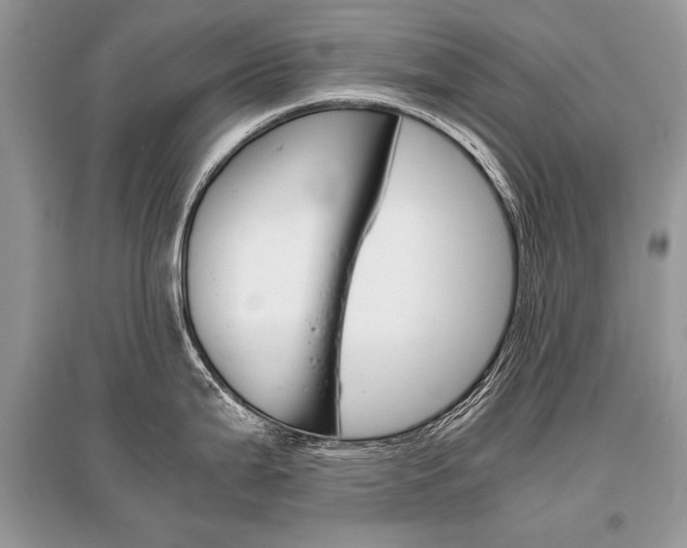 X0000096381199200801240955