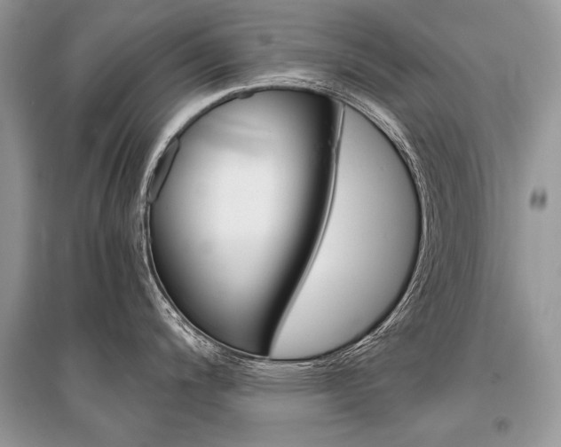 X0000096381200200801240955