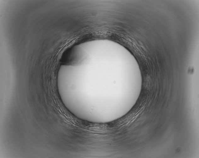 X0000096381201200801240955