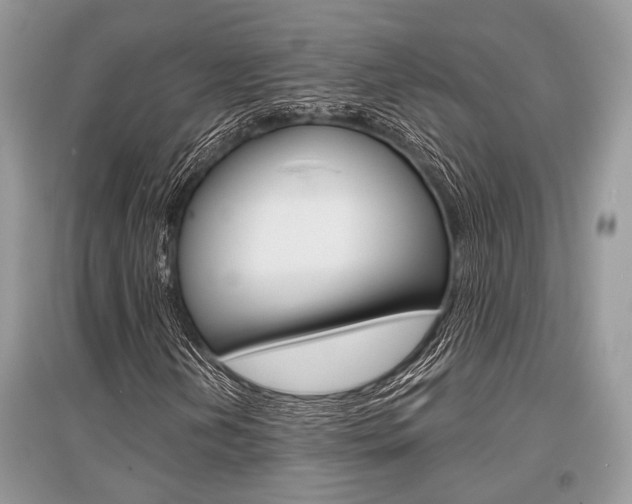 X0000096381202200801240955
