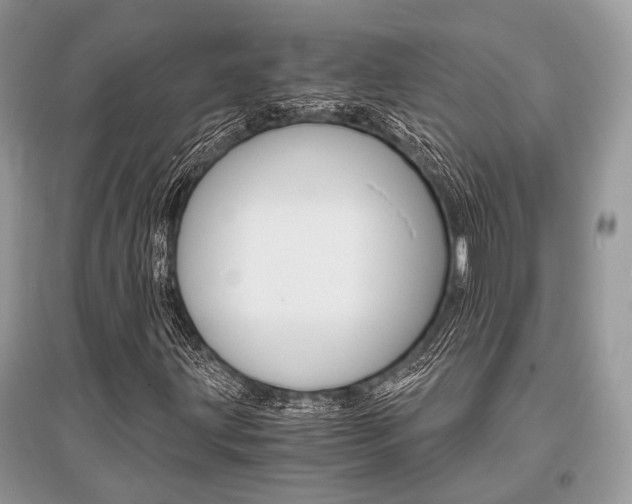 X0000096381203200801240955